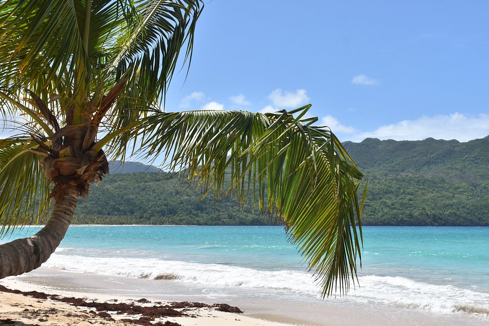 Dominican Republic travel guide featuring Playa Rincon