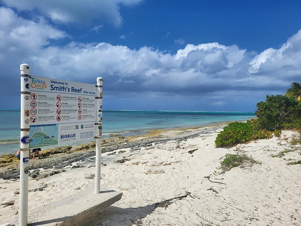 Turks and Caicos - Smith Reef